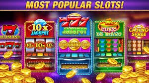 vin pkr Live Casino